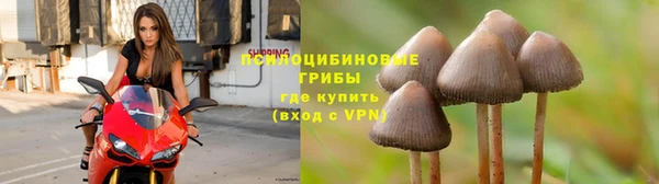 кокаин колумбия Елабуга
