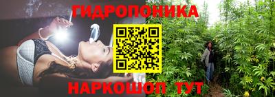 дурь Краснознаменск