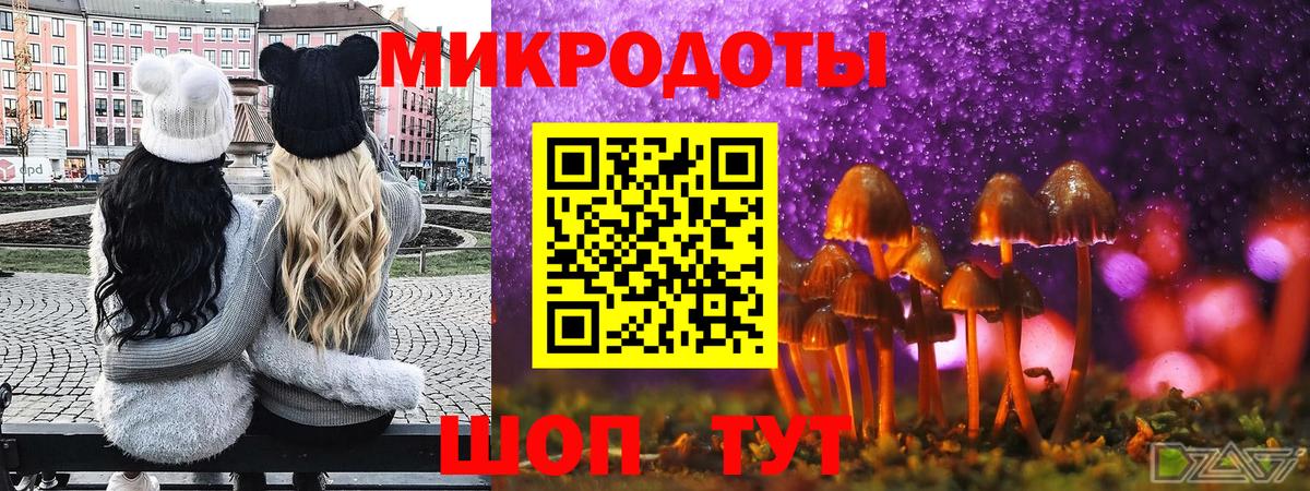 Псилоцибиновые грибы Cubensis  Рузаевка 