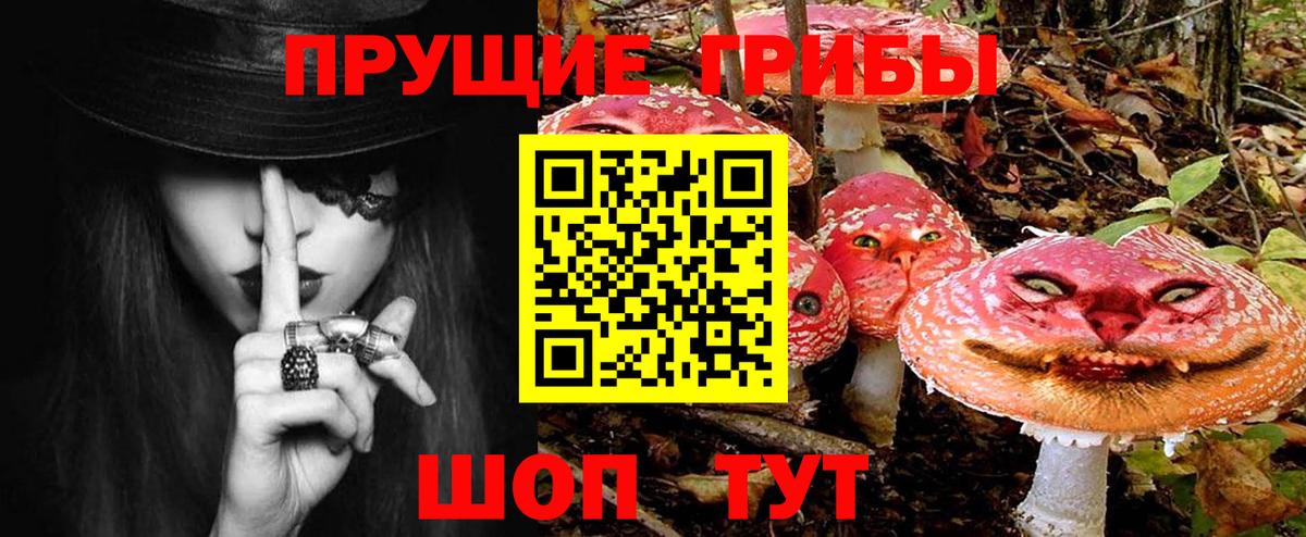 Галлюциногенные грибы GOLDEN TEACHER  Вход с VPN  купить   Рузаевка 