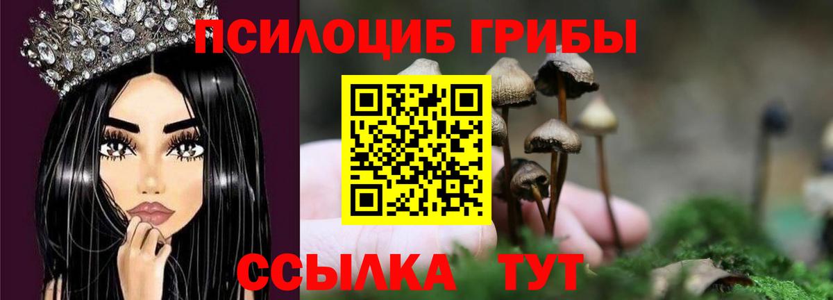 Псилоцибиновые грибы GOLDEN TEACHER Рузаевка